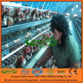 All Kinds of Chicken Layer Cages (Hot selling!)